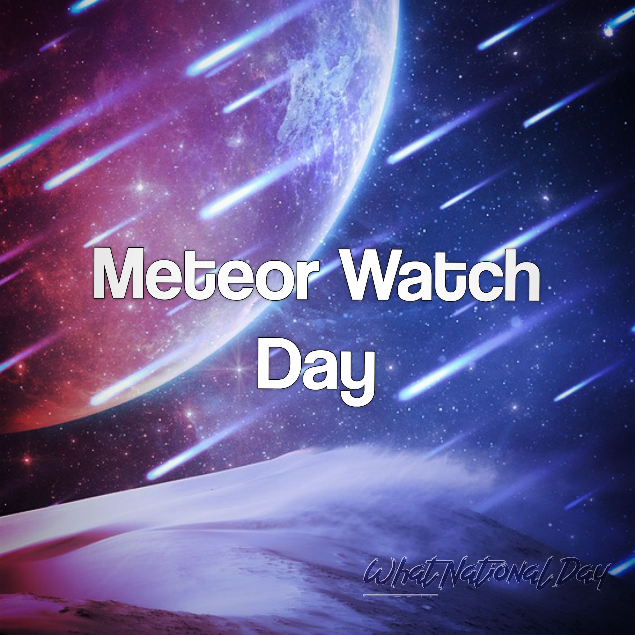 Meteor Watch Day